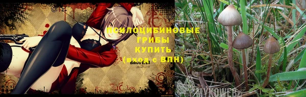 mdma Михайлов