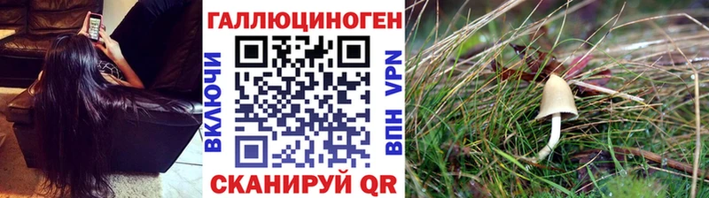 даркнет телеграм  Жуковский  OMG как войти  Псилоцибиновые грибы мицелий  наркотики 